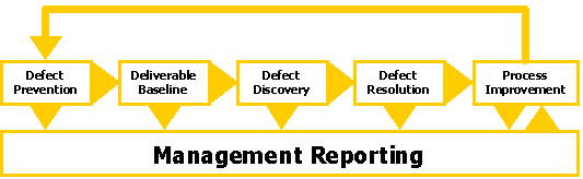 defect process flow defect process flow